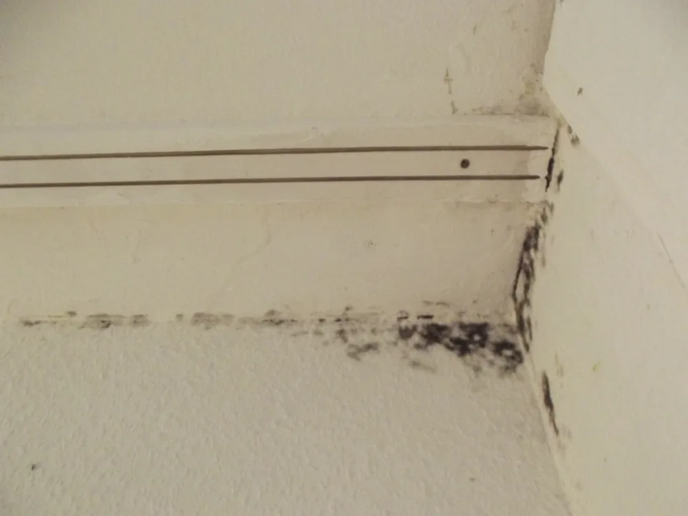 Technician in protective gear removing a mold-damaged wall in a Marshall home